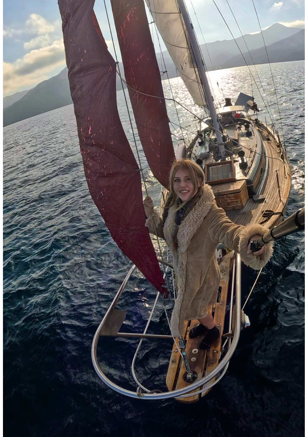 these AI assessments are getting out of hand and so is my kitties catnip addiction #unemployed #sailboatlife #catalinaisland 