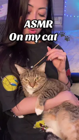 Asmr on my cat  She didn’t sign the release form but the people needed this hehehehe #asmr #fyp #asmrsounds #sleep #asmrvideo 