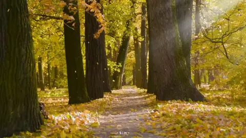 |Quotes hay mỗi ngày| 