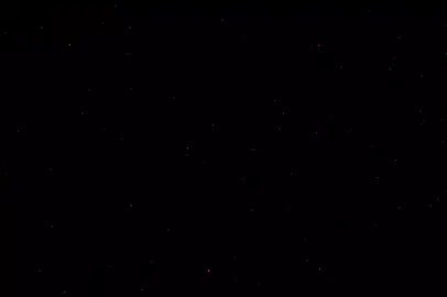 كوتي شماممم🙈🥹😂.  .  .  .  .  .  .  .  .  .  .  ..  .  .  .  .  .  .  .  .  .  .  #فولو #fypシ゚viral #music #fyppppppppppppppppppppppp #الشعب_الصيني_ماله_حل😂😂 