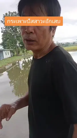 กระเพาะปัสสาวะอักเสบปัสสาวะแสบขัด#สารสกัดจากแครนเบอร์รี่ #กระเพราะปัสสาวะอักเสบ #ปัสสาวะแสบขัด #ปัสสาวะบ่อย #ปัสสาวะเป็นเลือด 