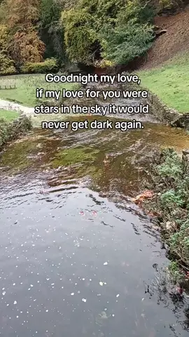 Goodnight my love, if my love for you were  stars in the sky it would  never get dark again. #goodnight  #goodnightquotes  #lovequotes 