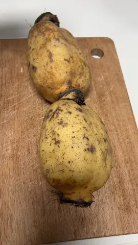 the satisfying crunch of cutting fresh lotus root.#satisfying #villagelife #asmrsounds #fyp #cut #foryoupage #stess