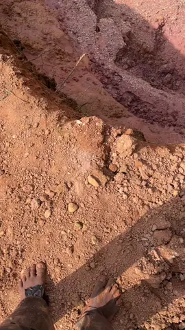 #fyp #petaniemas #dompengdarat 