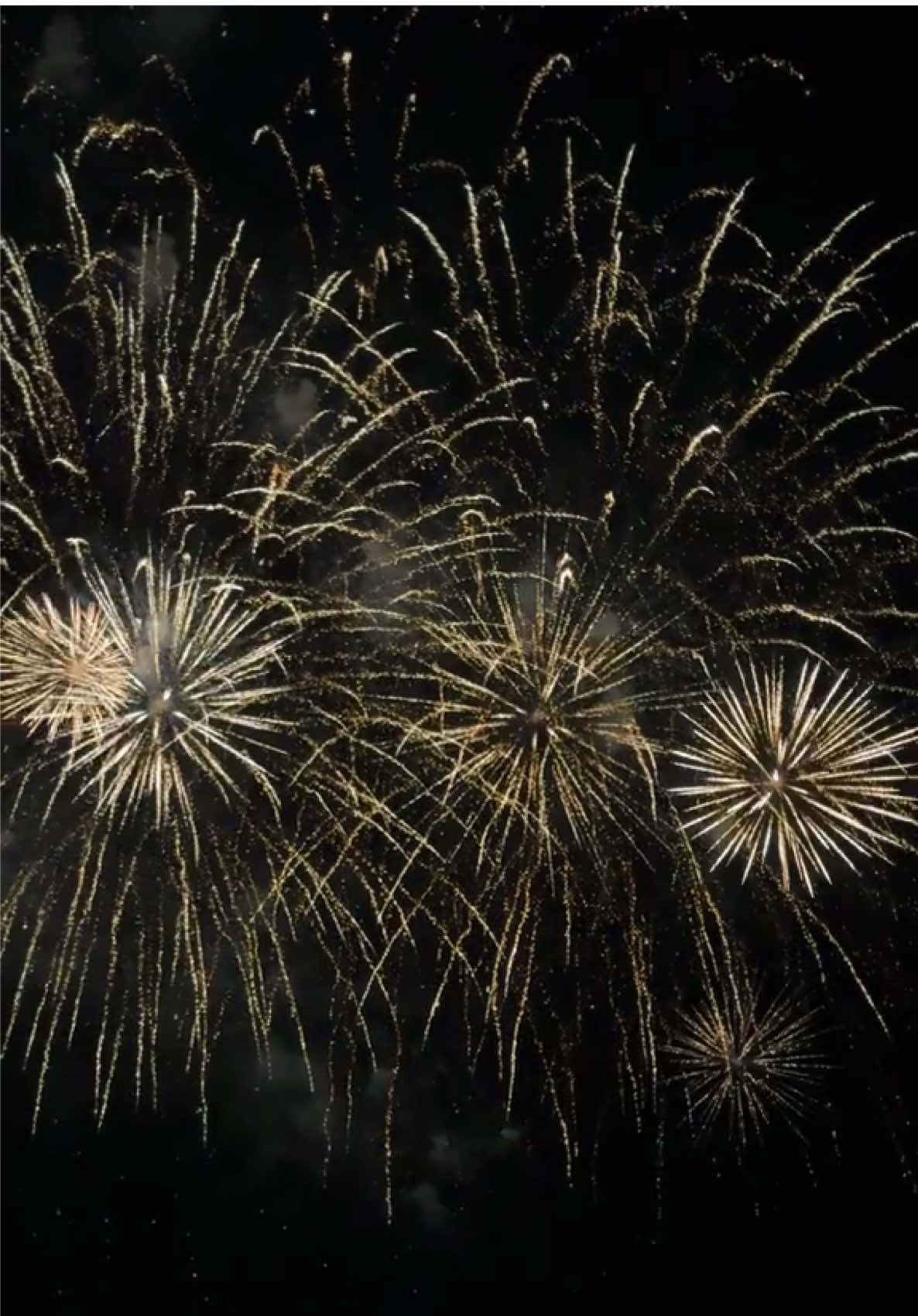 #fireworks #bonfirenight #firework #fyp #viral 