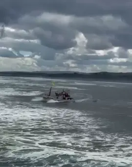 Luz Elena  Barra Constitución 