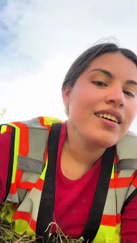 No todos los días son iguales, hay otros peores 😄😄  working hard 4x4 y a todo terreno 😁  #fyp #trabajoduro #diostebendiga #diosesbueno 