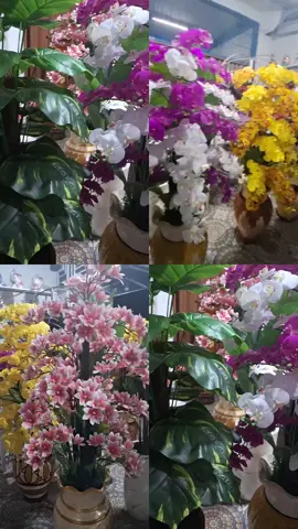 bunga bunga bunga cantk ##promomakanharian 