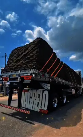 #caminhõesqualificados #caminhões #caminhõesqualificados #caminhões #caminhõesqualificados 