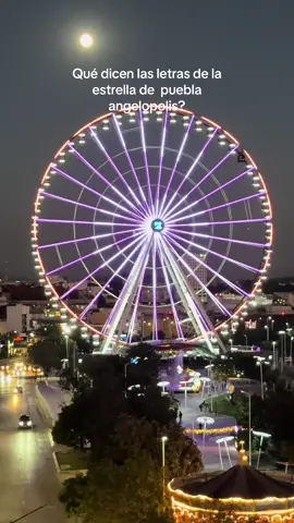 #puebla #angelopolis #artist #diademuertos #amor       Logras ver las letras en la rueda ?