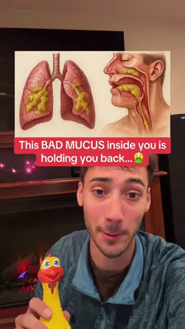 Replying to @Michael Haysom 