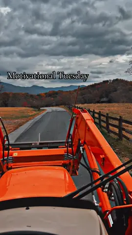 #tuesday #motivation #livelife #happyathome #fyp 