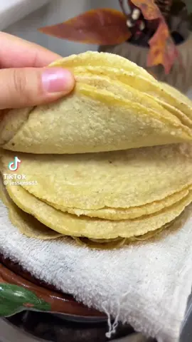 ¿Sabías que el precio de la tortilla no lo fija el gobierno, sino dos empresas? 🌽 Te cuento cómo Minsa y Maseca controlan el mercado, afectan a los campesinos y manipulan los precios del maíz. Una historia de poder que muestra cómo las decisiones de unos pocos impactan a todos. #maiz #minsa #politica #campesinos #vivaelcampo   