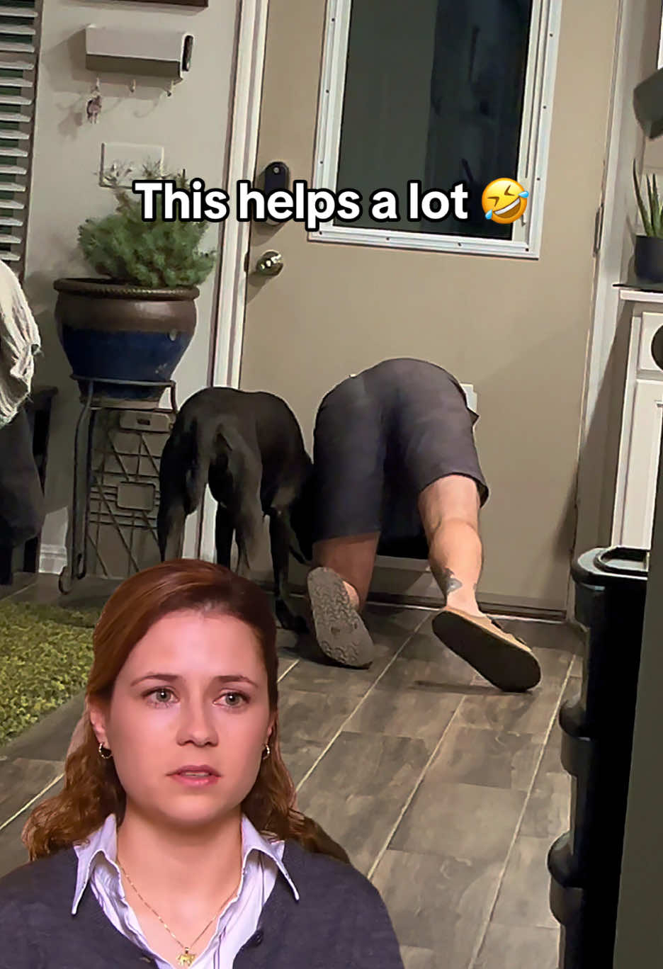 It’s been a rough couple of days. My husband getting trapped in a dog door really helps. 😂😂 #dogproducts #dogdoor #husband #labadorretriever #labsoftiktok 