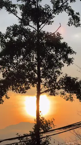 Koj mug ua lub neej zoo li cag lawm, Koj Puas noj qab Nyob zoo #tusiab 