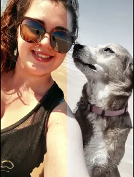 Until we meet again my sweet Bailey♡  #fyp #dog #ily 