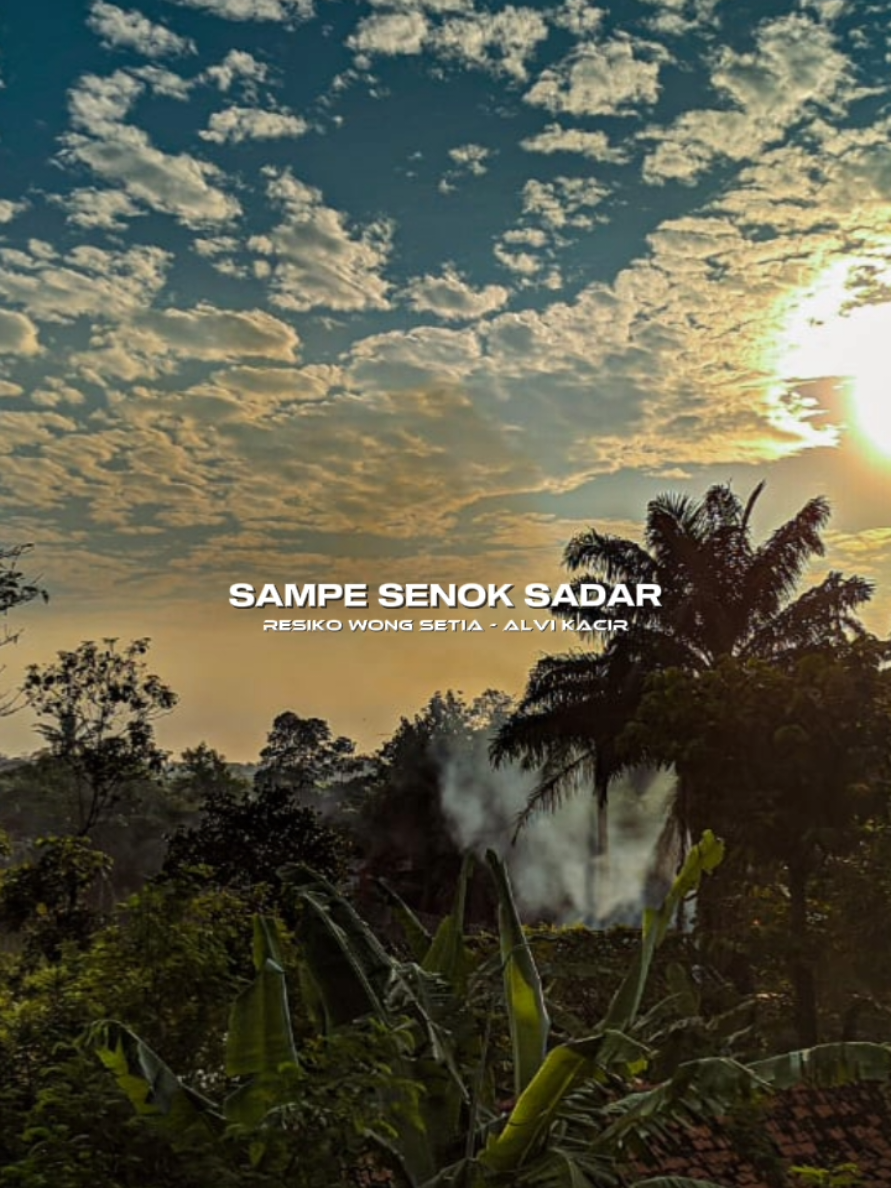 #CapCut resiko wong setia #tarling_indramayu_cirebon  #singadangdut #dangdut #indramayu 