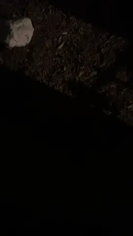 #explore #fyp #foryou 