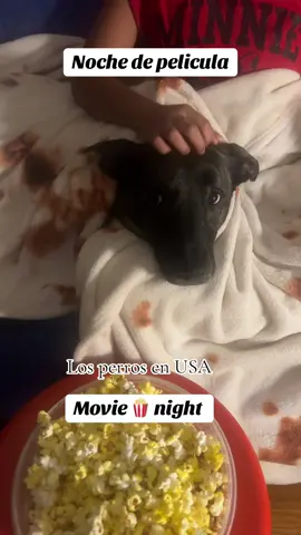 #LIVEIncentiveProgram #SideHustleLIVE #PaidPartnership 