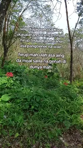 #fyp #fypviralシ #masukberandafyp #trendiing #tiktokviral 