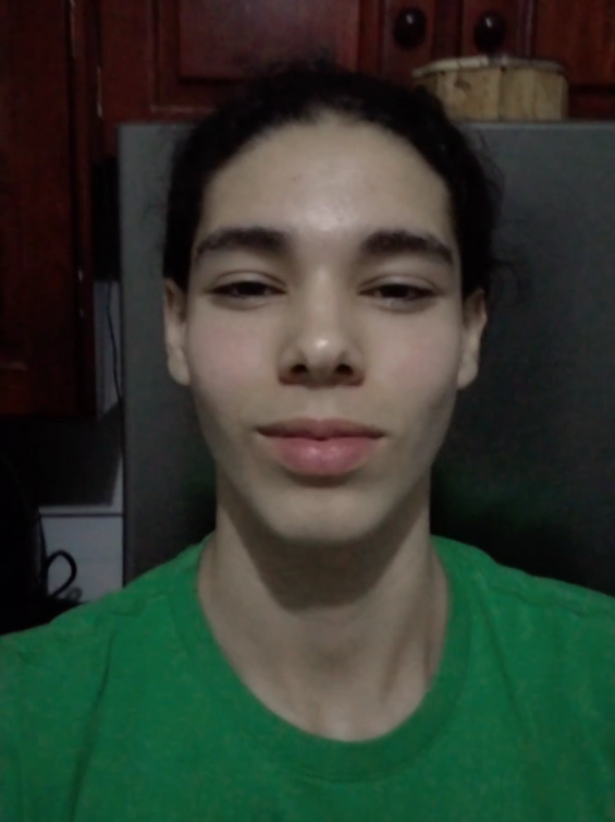 appeal? #vitobasso #looksmax #model 