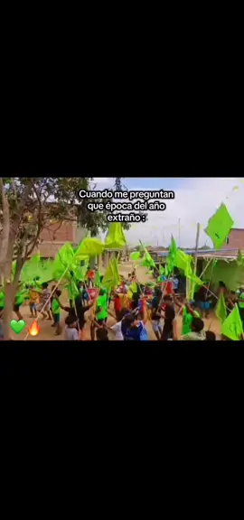 #carnavales #verdeperiquito #paratiiiiiiiiiiiiiiiiiiiiiiiiiiiiiii #13deabril #fyppp 