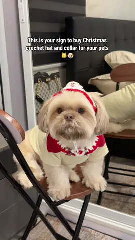 perfect outfit nila sa pasko 🥹 #petchristmas 