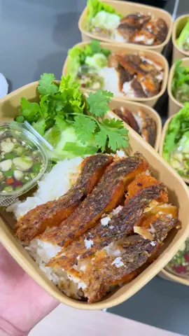 ข้าวปลาแกะ 😚 #ครัวข้าวพฤกษ์ลดา #ไอเดียรายได้เสริม #เอแบคบางนา #ข้าวกล่อง #รับทําข้าวกล่อง  ✅กล่องข้าวต่างๆในตะกร้าหน้าช่อง 🧺 รับทำข้าวกล่อง 🍱 🛣️ซอยเอแบคบางนา  🛣️บางบ่อ บางพลี  🍡ราคาเริ่มต้น 50 บาท 🍤ขั้นต่ำ 10 กล่อง (ในซอยเอแบค)  Add บ้านเขียว 🏡: cycon2009 