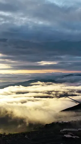 Mấy bạn nói Đà Lạt giờ bê tông hóa rồi…chắc bạn ấy suốt ngày ở trong khách sạn ,không đi hết Đà Lạt 😭#canhdepdalat #djimavic4pro #fyp #foryou 