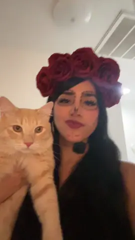 His little paw 😩 #fypシ 