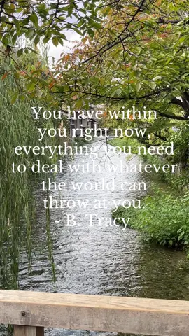 Believe you can and you are half way there. #teddyrosevelt #quotes #motivational #deepthoughts #positivity #creatorsearchinsights 