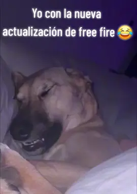 Free Fire actualización  Bien vicioso #freefire #garenafreefire #jenava08 #humor 