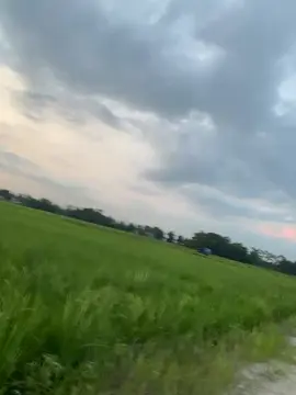 🥀🤡#5tpindonesia #vega303style💥💥 #lewatberanda #fyp 