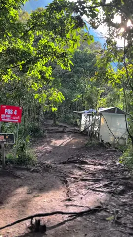 Ini kan yang kalian cari wahai penikmat tumbuhan hijau#fypage #pendakigunungindonesia #kembangvialengkong #berandamu 