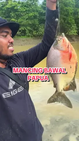Mancing Bawal Papua, Lengkap di Youtube ALE WILD (AWA)  #petualangan #papua #papuatiktok #mancingmania #bawal 