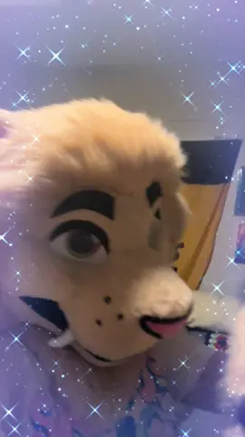Gave more upgrades to Saja! He now has eyebrows and pink in his inner ears. Time to make him tongues cause he don’t got any! Poor fella lol #furry #furryfandom #furrytiktok #tiktokfurry #furrycommunity 