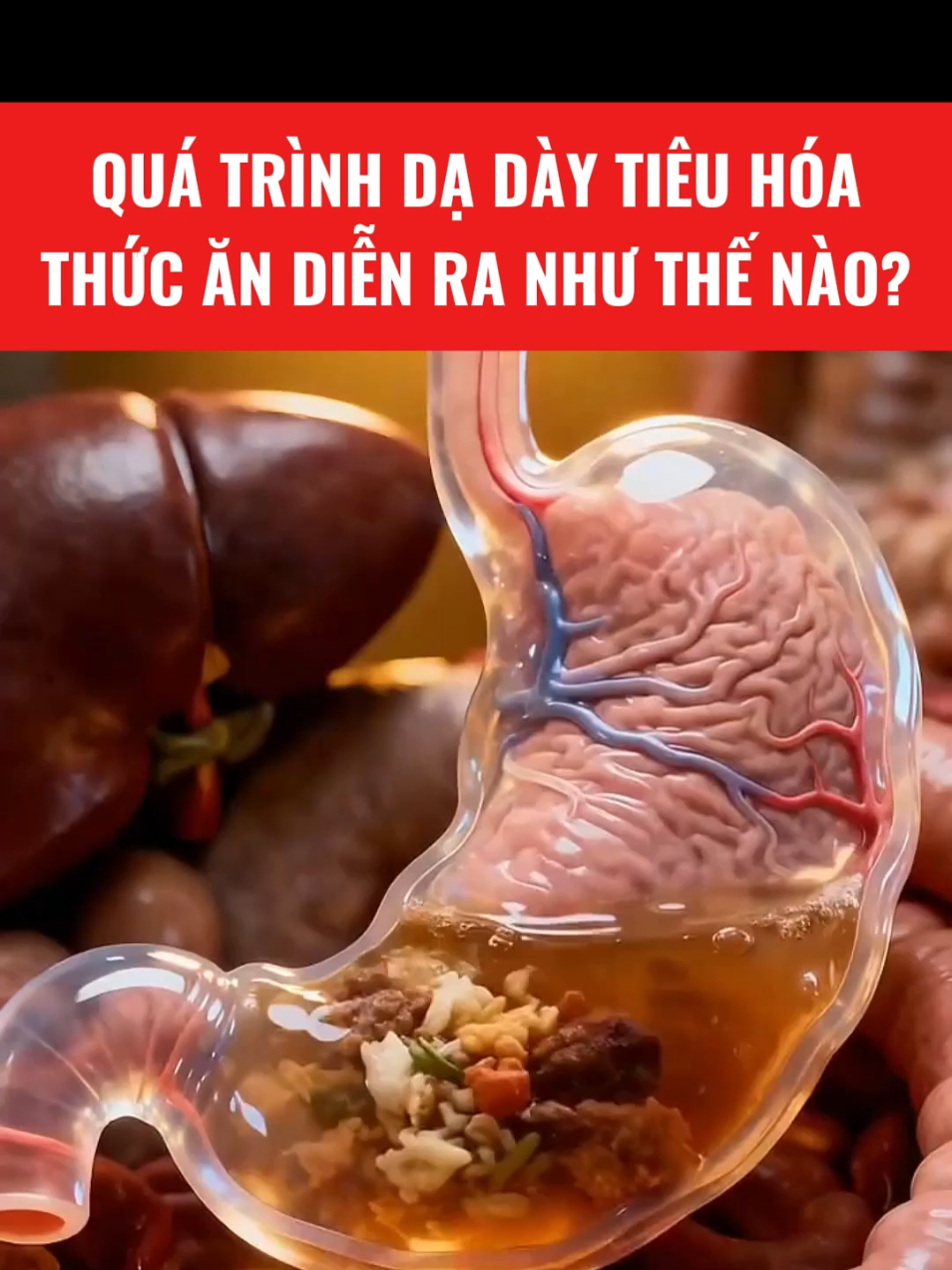 Quá trình tiêu hóa thức ăn diễn ra như thế nào?