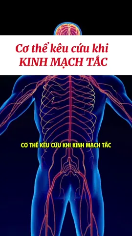 Cơ thể kêu cứu khi “KINH MẠCH TẮC” #thinhhanhtiktok #LearnOnTikTok #yhoccotruyen #xuhuong2025 