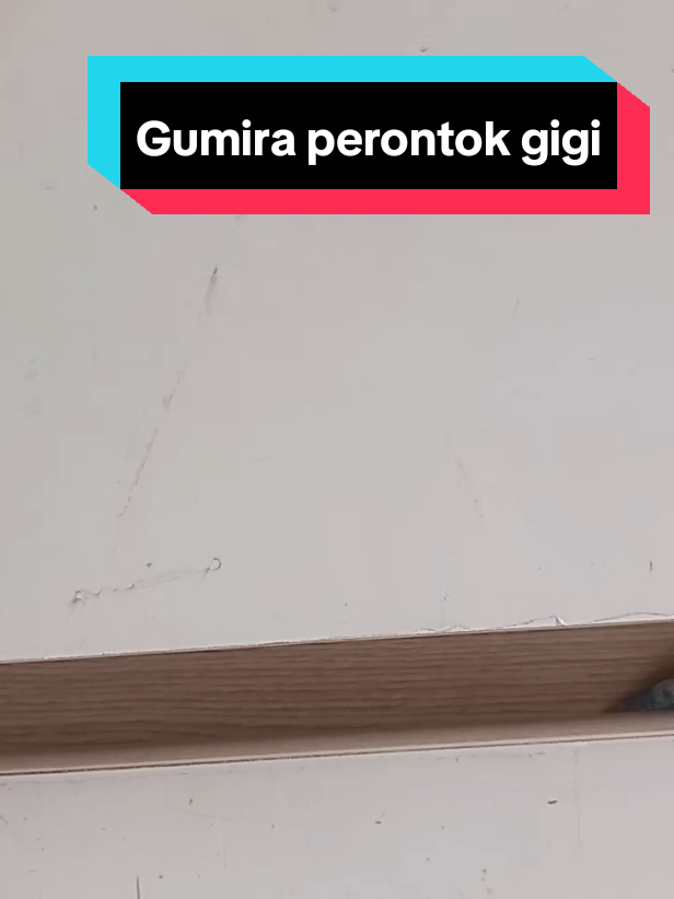 Gumora perontok gigi berlubang #obattetesgigi #obatsakitgigi 