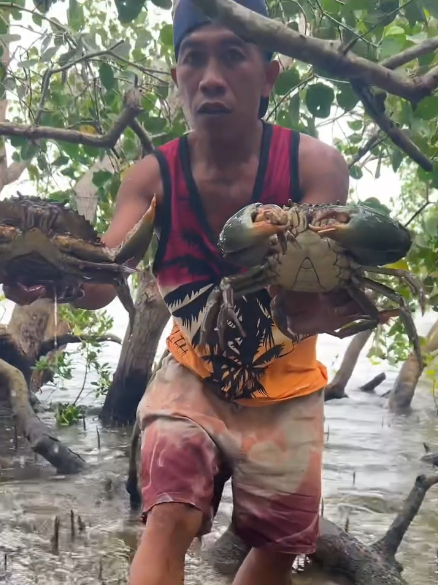 #catchingfish #fishing #ruralfishing #handfishing #netfishing #catchingoctopus #catchingcrabs 