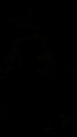 पहिलो हाँसो पहिलो बोली सबै याद छ 💞💞👏👏👏👋👋#foryoupage❤️❤️ #nepalitiktok #viraltiktok #Love #sad 