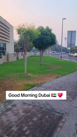 Good Morning Dubai 🇦🇪 ♥️ #uae #dubai 