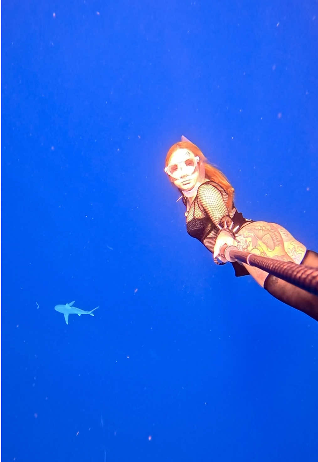 Shark dives from shore 😋🦈 #sharks #underwater #freediver #freediving #sandbar 