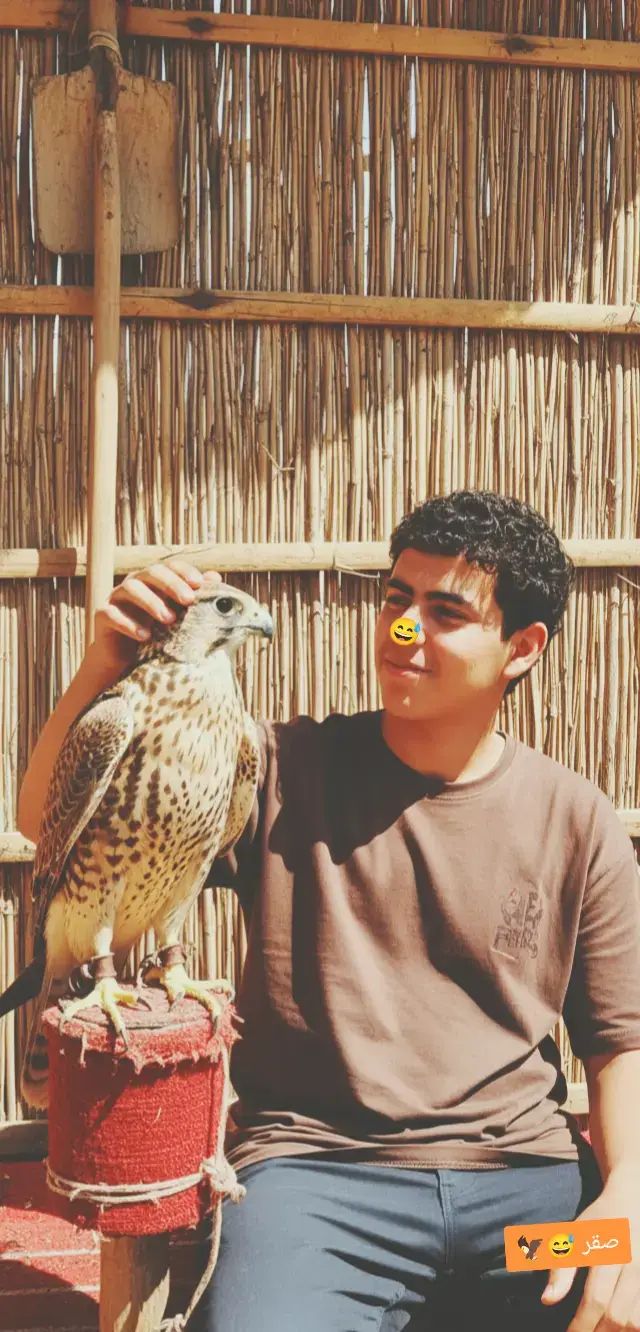 #صقر #ساجد 