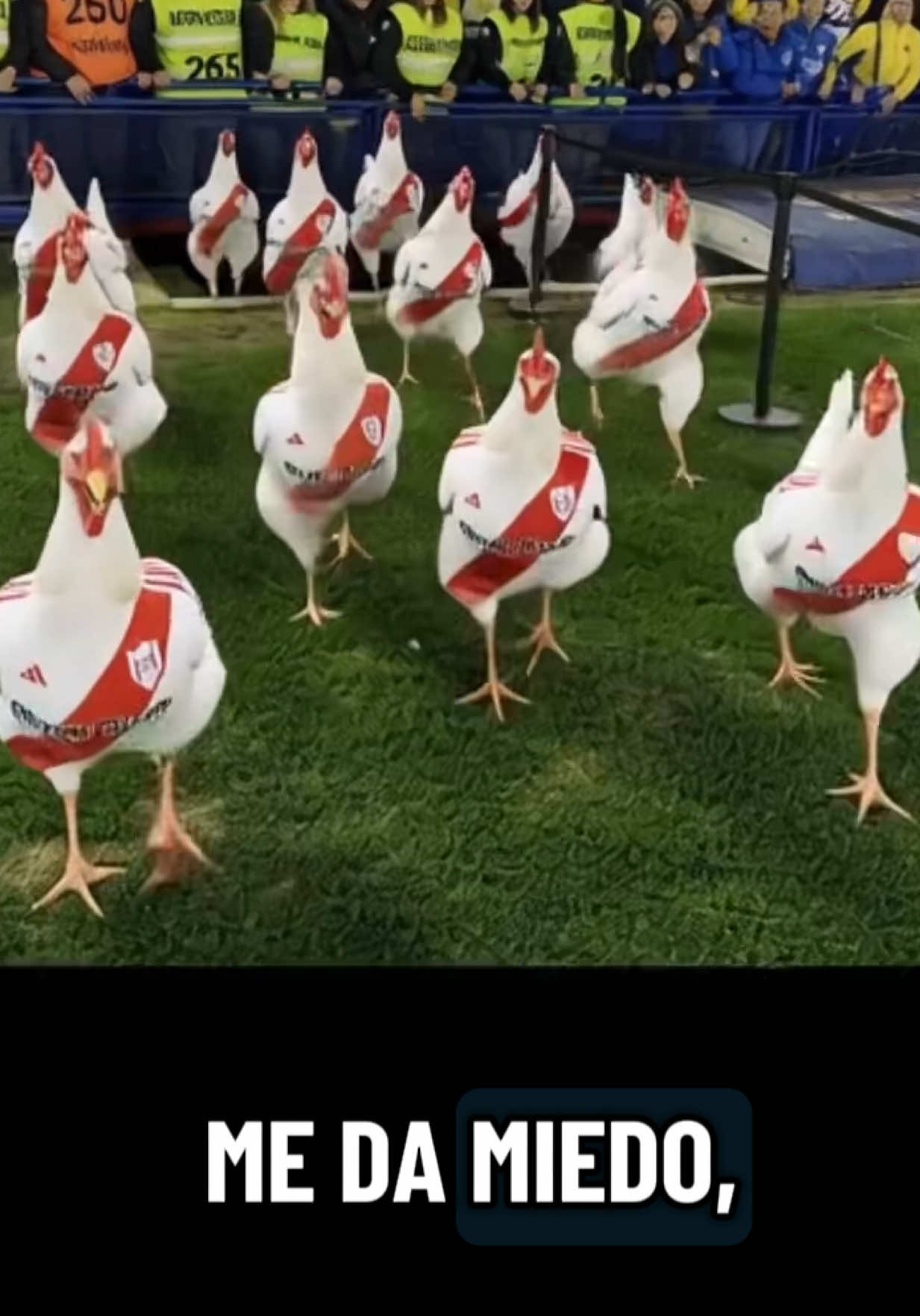 #la12 #bocajuniors #boca #futbolargentino #bosteros , se van asustar 😂😂😂