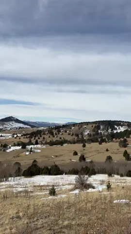 #fypシ゚viral #denver #colorado 