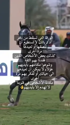 #تصميم_فيديوهات🎶🎤🎬 #فلسفة_العظماء🎩🖤 #اقتباسات_عبارات_خواطر🖤🦋❤️ #خيل_وخياله🐎 #الخيول_العربية_الأصيلة 