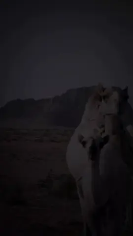 الـصبر لا ضاقت عليك ✨