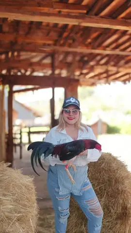 🐓💪🔥☘️