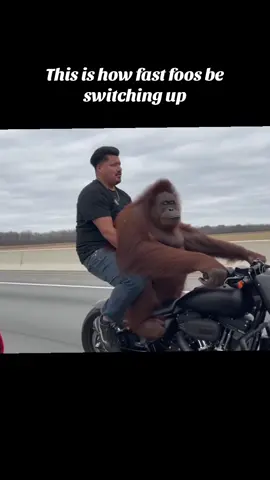 This is how fast foos be switching up #afambobie #viralvideo #viral #fyp #comedyvideo 